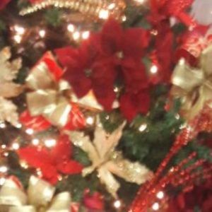 Meet your Posher, Gail